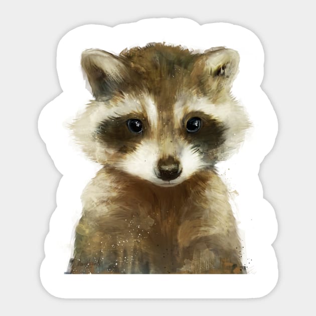 Little Raccoon Sticker by Amy Hamilton